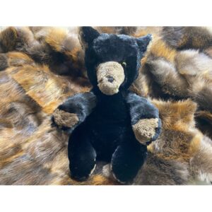 Ourson de castor rasé