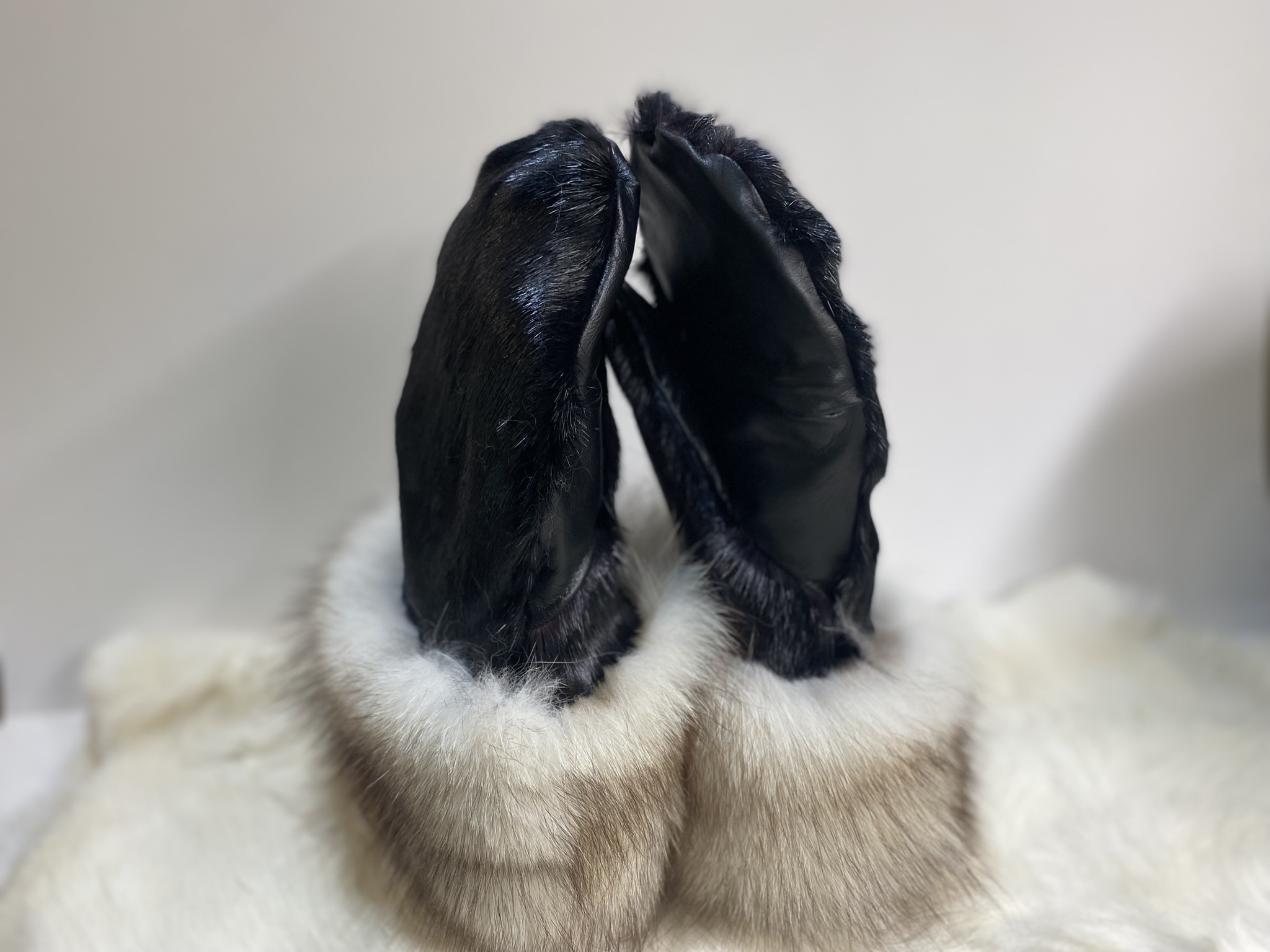 loup marin & renard norvégien