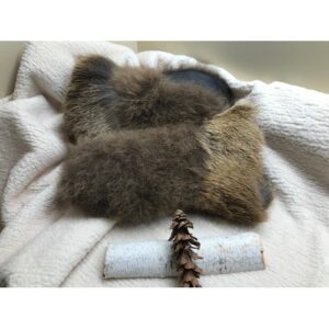 Mitaines de bison & wapiti